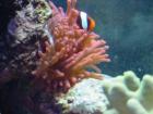 thumbs/dsc00008.jpg