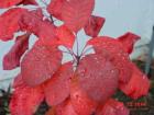 thumbs/dsc00027.jpg