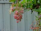 thumbs/dsc00030.jpg