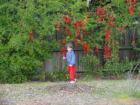 thumbs/dsc00049.jpg
