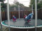 thumbs/dsc00062.jpg