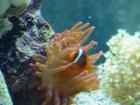 thumbs/dsc00068.jpg