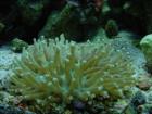 thumbs/dsc00070.jpg