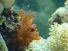 thumbs/dsc00075.jpg