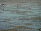 thumbs/dsc00089.jpg