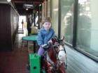 thumbs/dsc00099.jpg