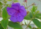 thumbs/dsc00130.jpg