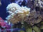 thumbs/dsc00007.jpg