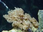 thumbs/dsc00009.jpg