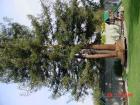 thumbs/dsc00025.jpg
