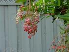 thumbs/dsc00030.jpg