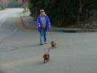 thumbs/dsc00056.jpg