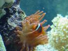 thumbs/dsc00068.jpg
