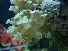 thumbs/dsc00069.jpg