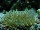 thumbs/dsc00070.jpg