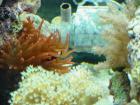 thumbs/dsc00073.jpg
