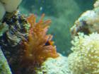 thumbs/dsc00075.jpg
