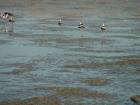 thumbs/dsc00089.jpg