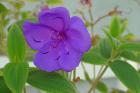 thumbs/dsc00130.jpg