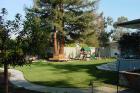 thumbs/dsc00132.jpg