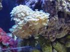 thumbs/dsc00007.jpg