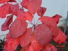 thumbs/dsc00027.jpg