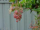 thumbs/dsc00030.jpg
