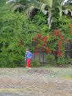 thumbs/dsc00050.jpg