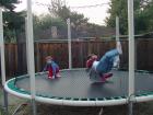 thumbs/dsc00062.jpg