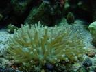 thumbs/dsc00070.jpg