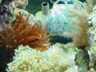 thumbs/dsc00073.jpg