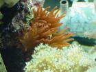 thumbs/dsc00074.jpg