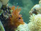 thumbs/dsc00075.jpg