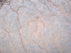 thumbs/100_0334.png