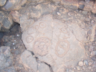 thumbs/100_0335.png