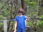 thumbs/100_0350.png