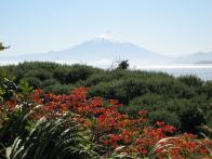 thumbs/IMG_2048.jpg