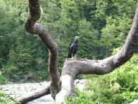 thumbs/IMG_2090.jpg