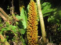 thumbs/IMG_2128.jpg