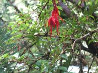 thumbs/IMG_2129.jpg