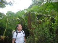 thumbs/IMG_2131.jpg
