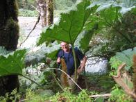 thumbs/IMG_2136.jpg