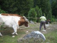 thumbs/IMG_2162.jpg