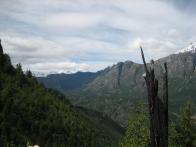 thumbs/IMG_2349.jpg