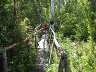 thumbs/IMG_2354.jpg