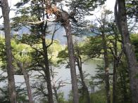 thumbs/IMG_2391.jpg