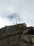 thumbs/IMG_2435.jpg