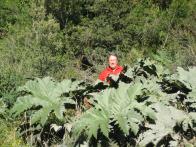thumbs/IMG_2504.jpg